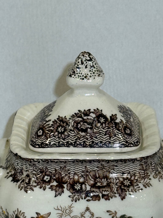 Azucarero inglés Mason’s Ascot