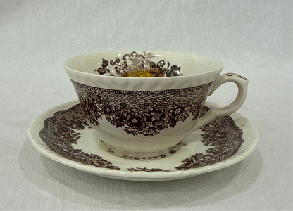 Taza con plato Mason’s modelo Ascot en marrón (X UD.)