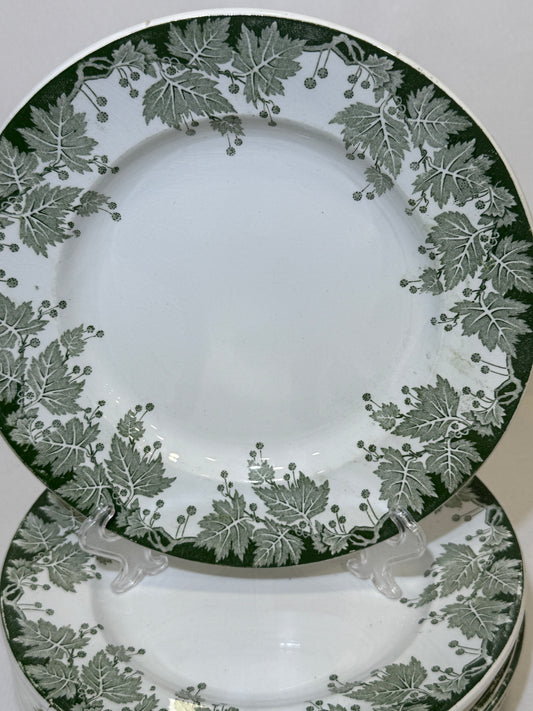 Platos llanos Saint Amand Platane Terre de Fer X UD.