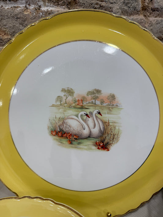 Fuente redonda grande · Moulin des Loups Orchies