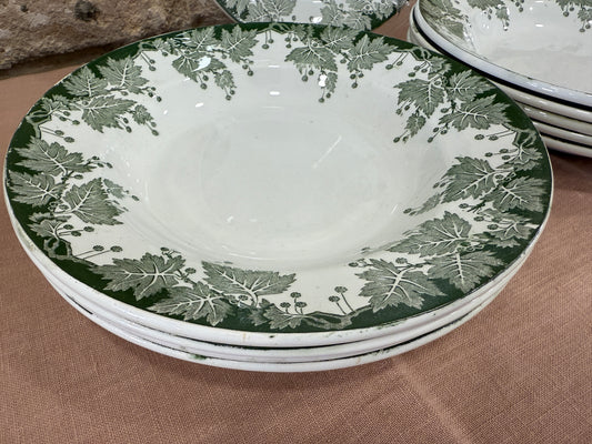 Platos hondos Saint Amand  Platane Terre de Fer X UD.