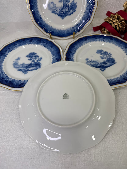 Platos postre Rosenthal Chippendale