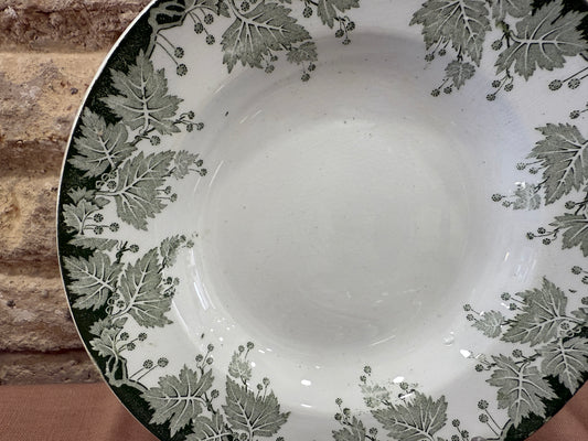 Platos hondos Saint Amand  Platane Terre de Fer X UD.