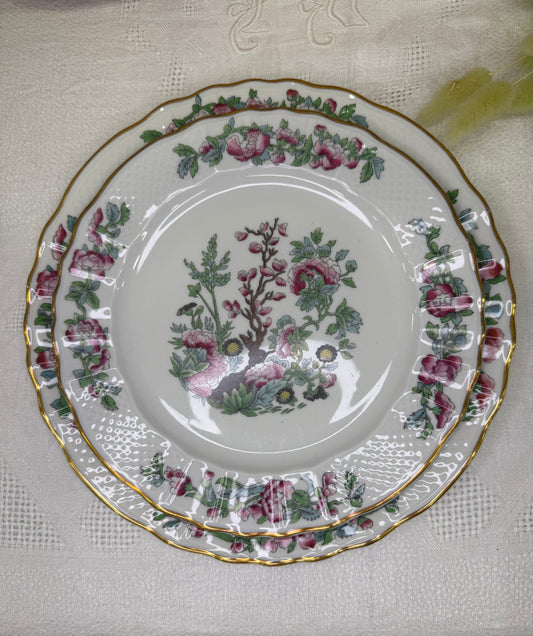 Vajilla porcelana Limoges Bernardaud Arbre des Indes